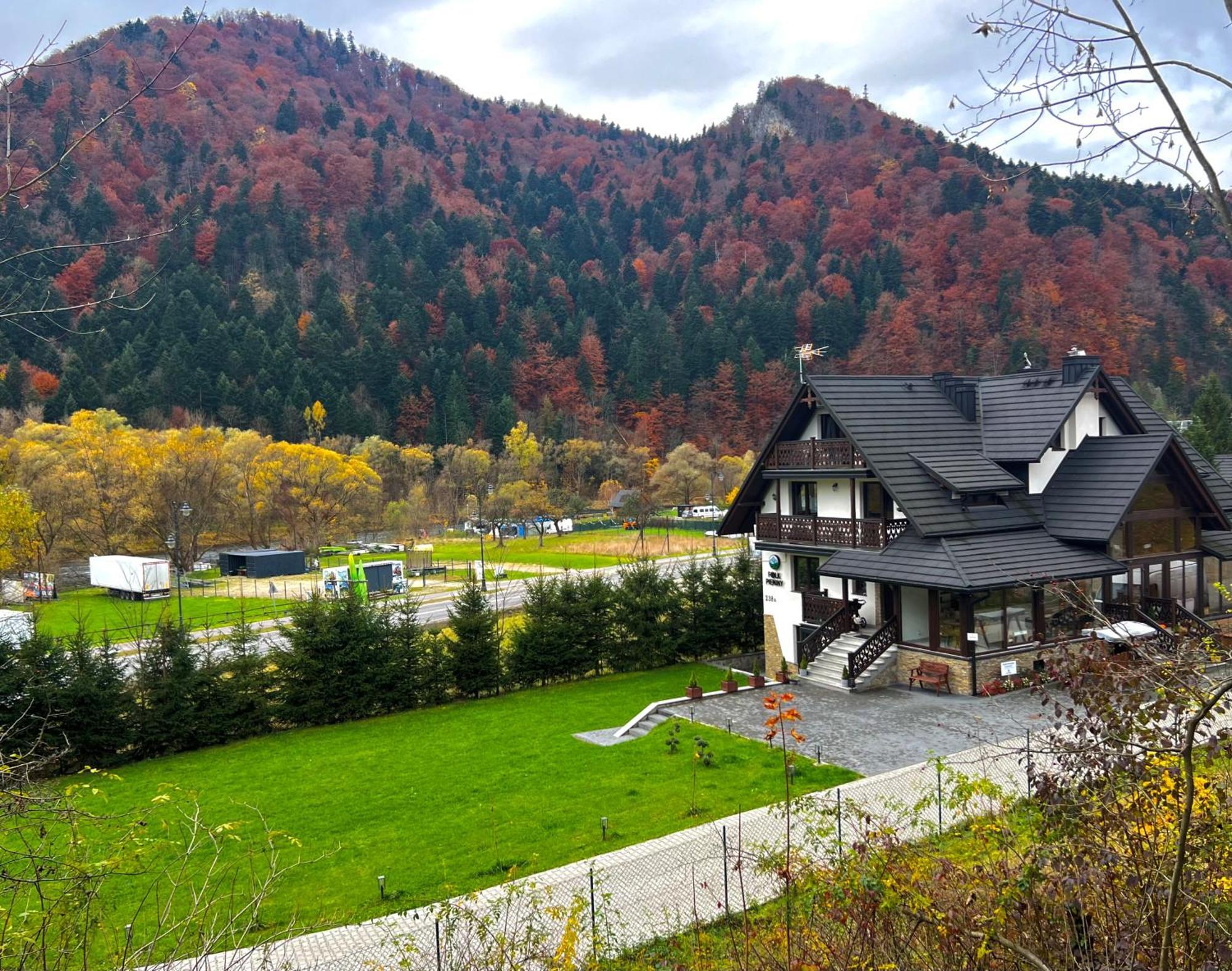 Willa Folk Pieniny Szczawnica Luaran gambar